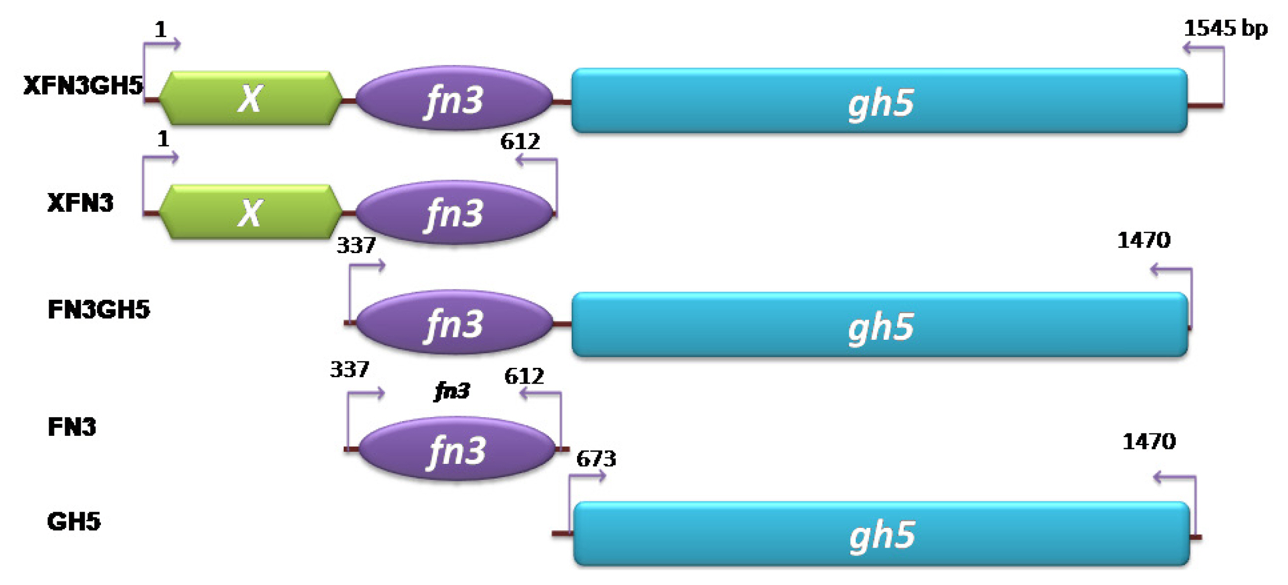 ajas-20-0115f1.jpg