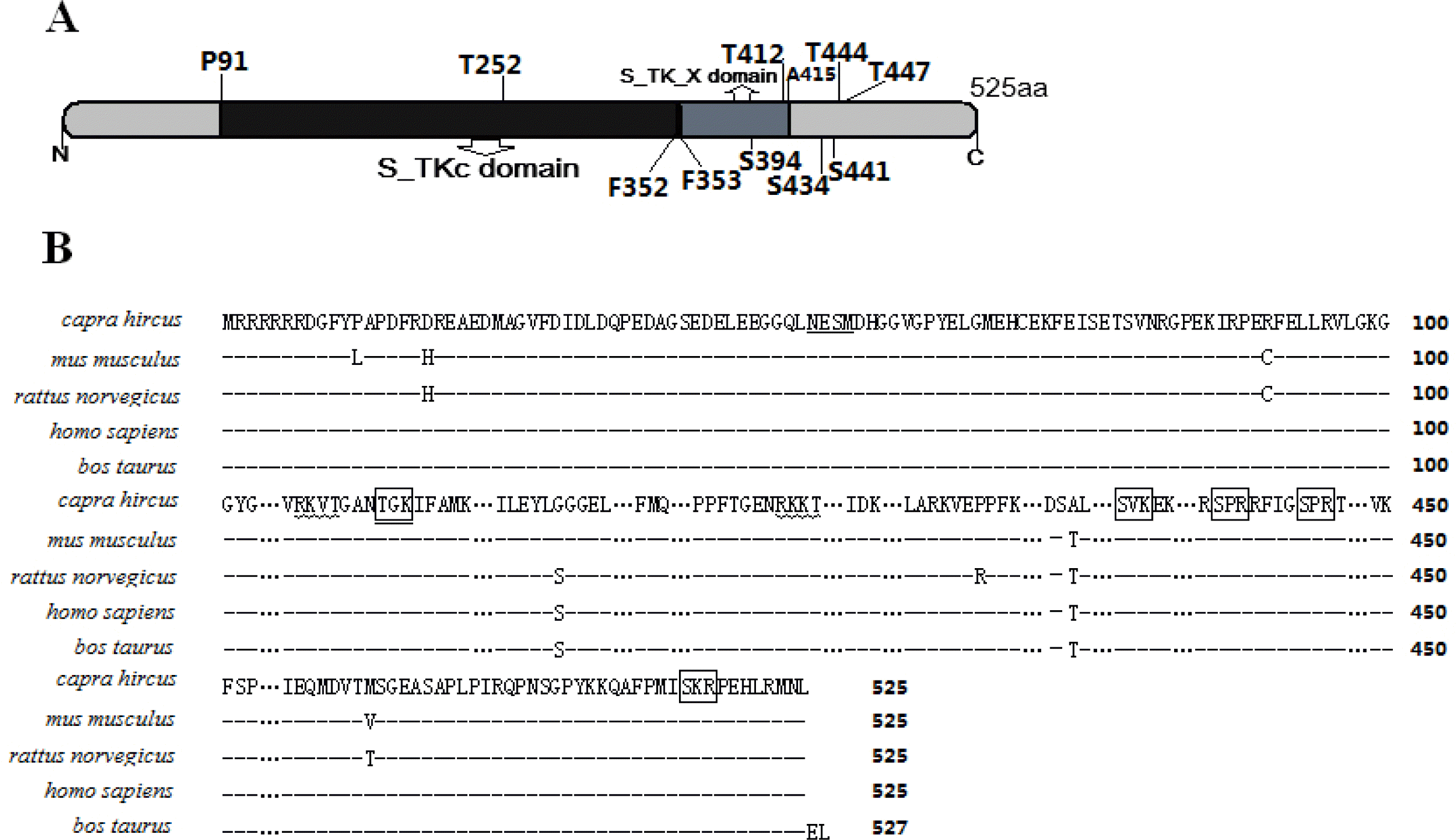 ajas-26-8-1057-1f1.gif