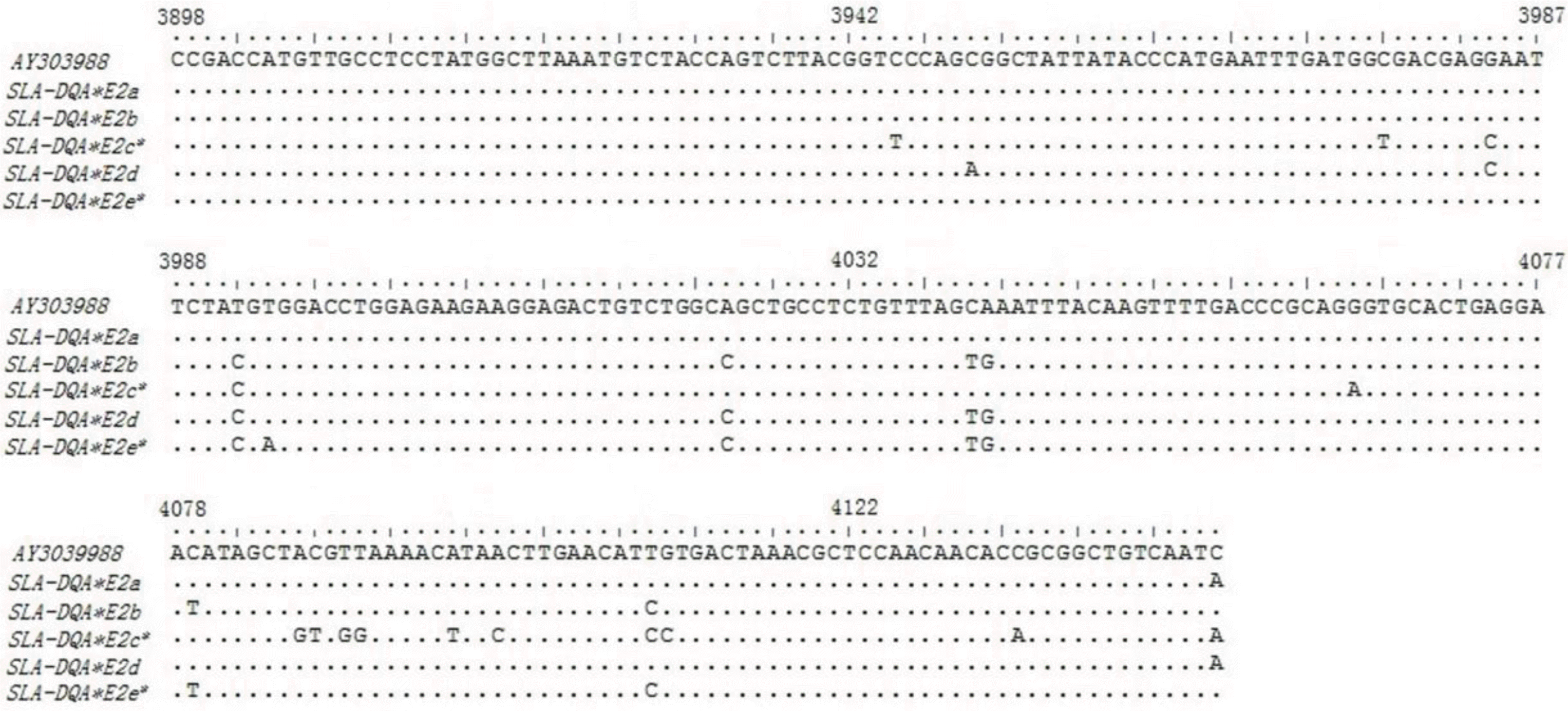 ajas-26-8-1065-2f2.gif