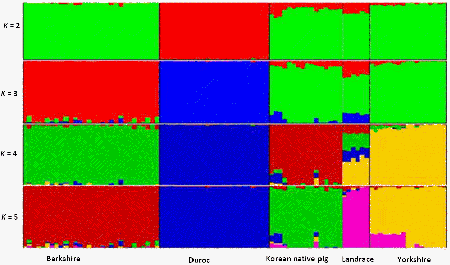 ajas-27-9-1263f2.gif