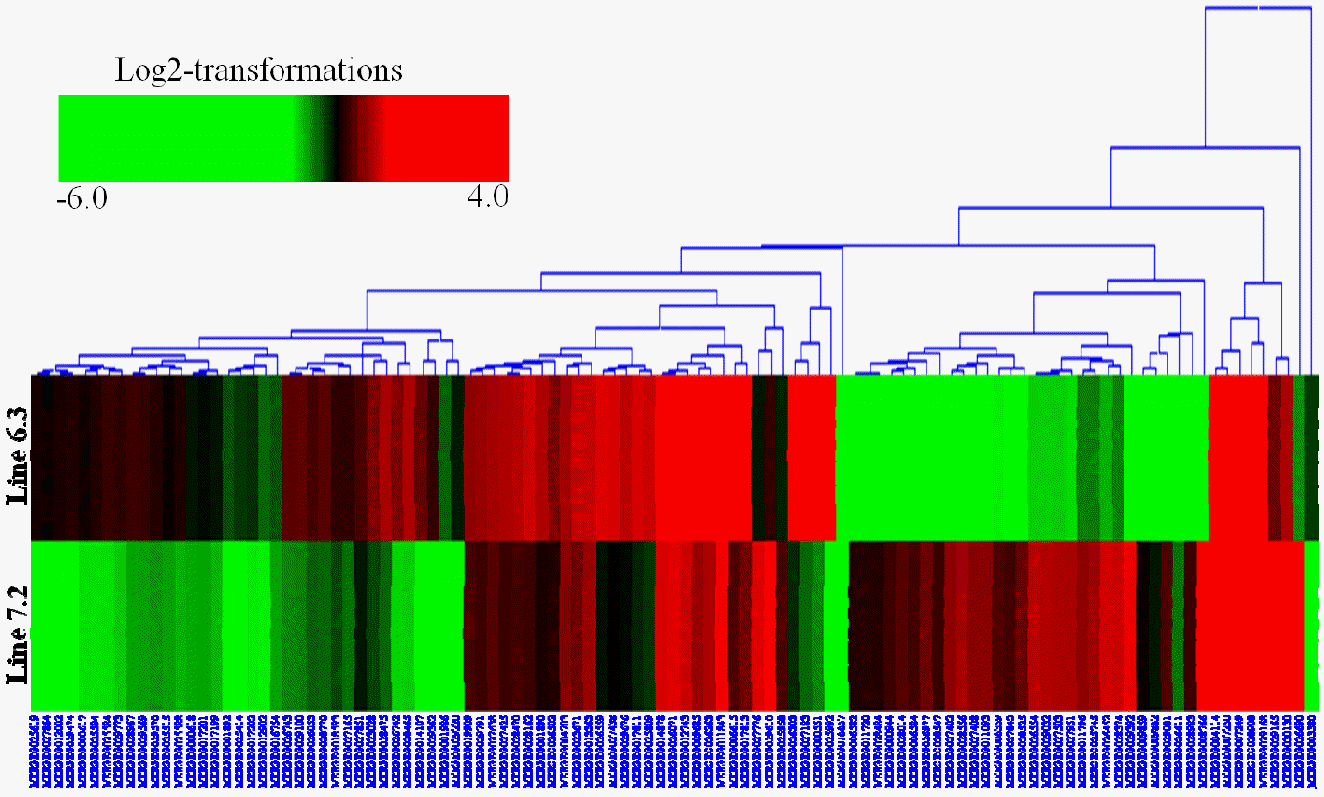 ajas-28-10-1496f3.gif