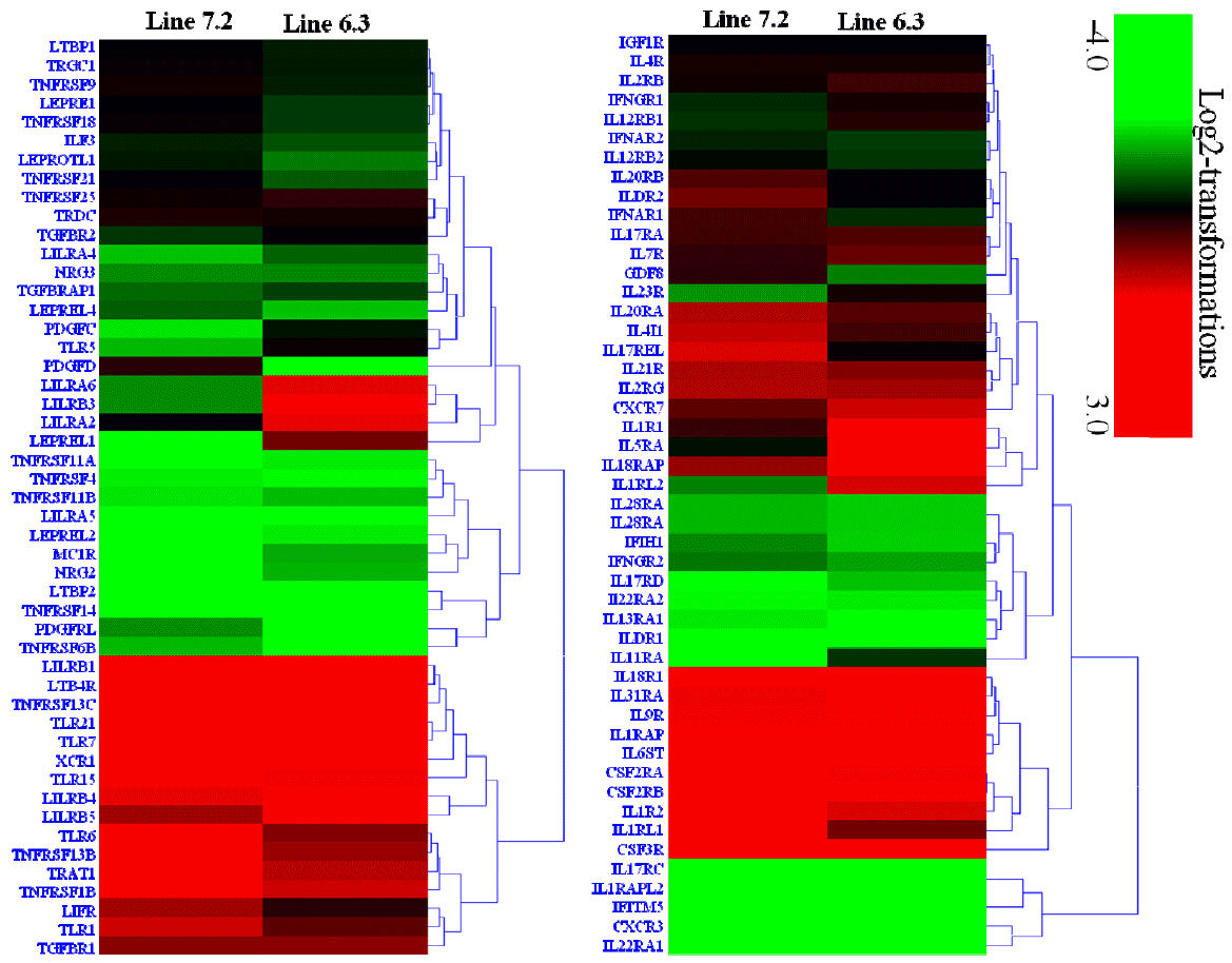 ajas-28-10-1496f5.gif