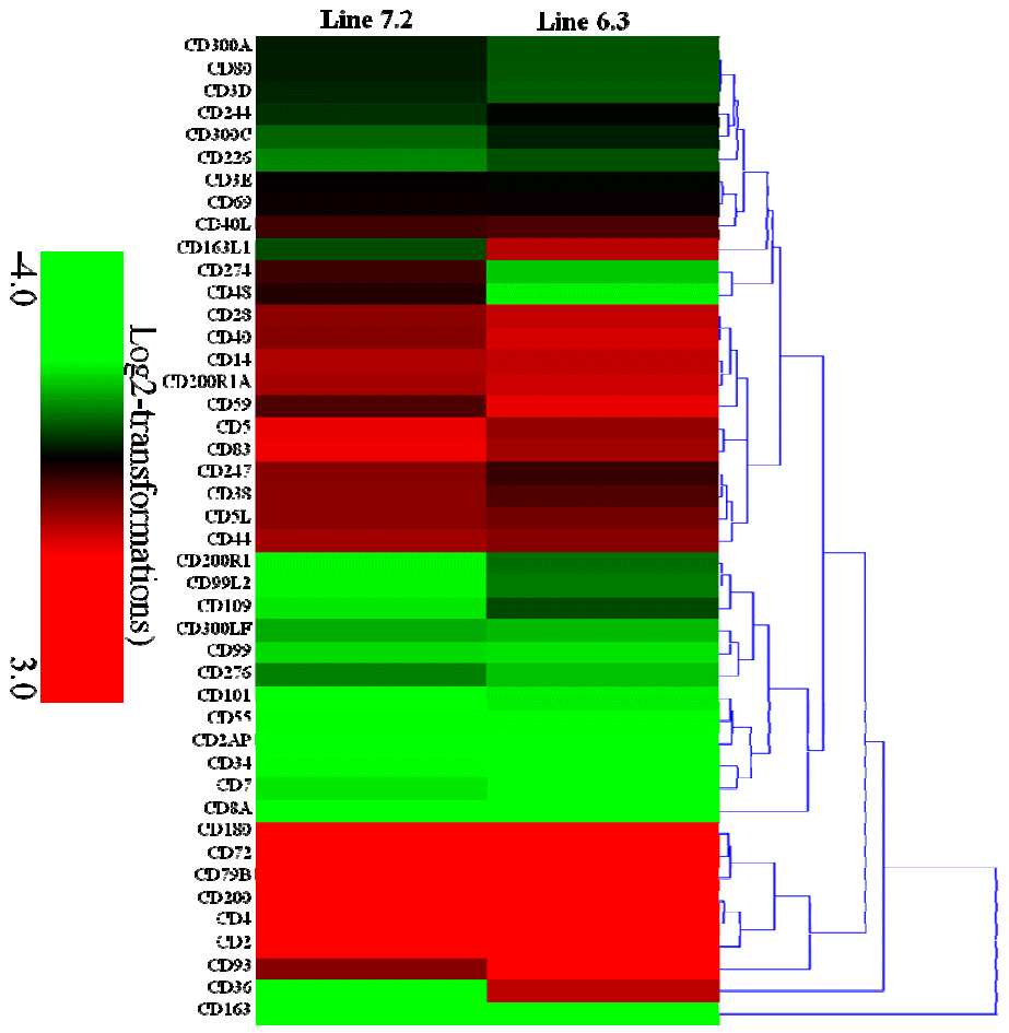 ajas-28-10-1496f6.gif