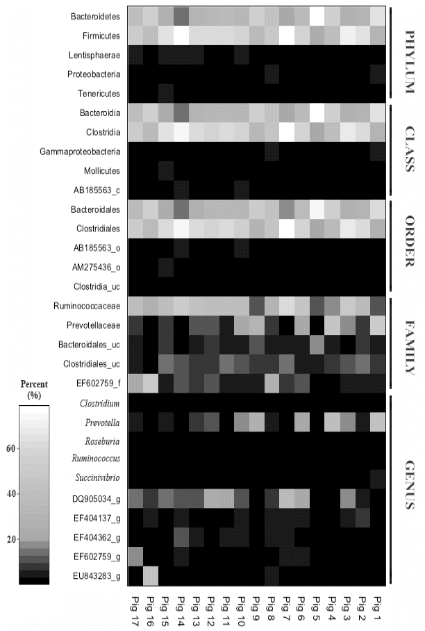 ajas-28-4-584f3.gif