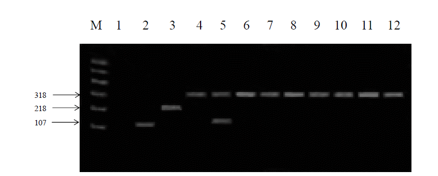 ajas-28-5-620f3.gif
