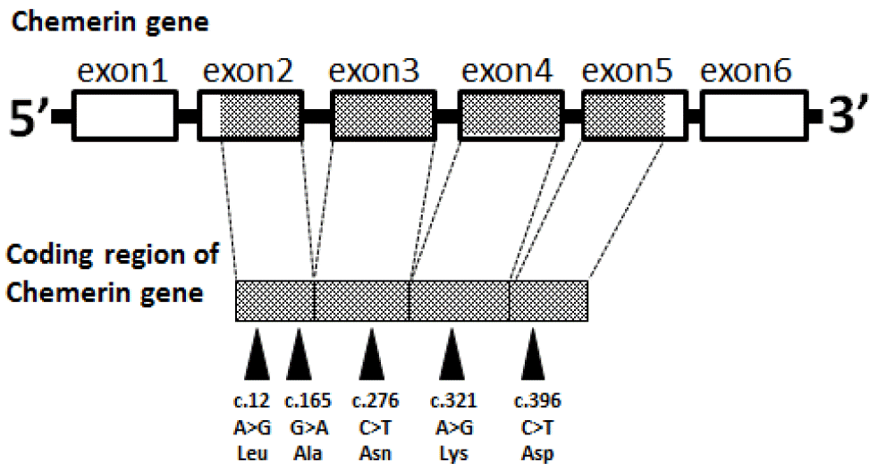 ajas-28-8-1084f1.gif