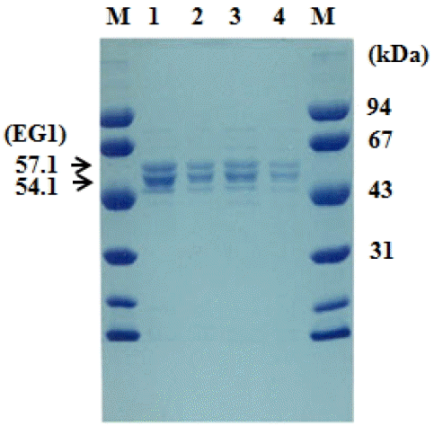 ajas-29-1-126f2.gif