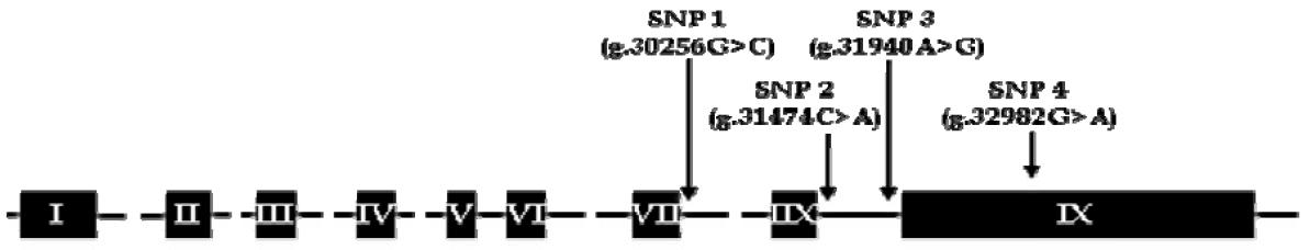 ajas-29-1-23f1.gif
