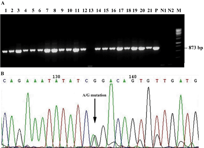 ajas-29-7-925f1.gif