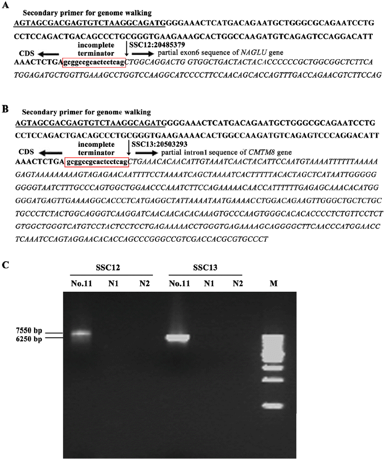 ajas-29-7-925f3.gif