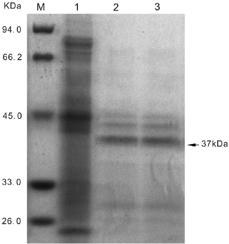 ajas-29-9-1363f6.gif